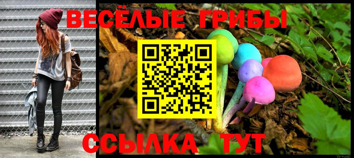 Ивантеевка  купить  цена  Вход с VPN  Галлюциногенные грибы Magic Shrooms  Псилоцибиновые грибы MAGIC MUSHROOMS 